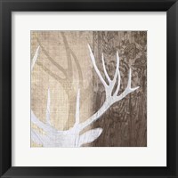 Framed Deer Lodge II