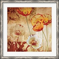 Framed Poppy Heat I