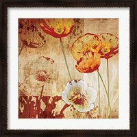 Framed 'Poppy Heat I' border=