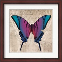 Framed Butterflies IV