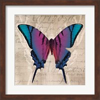 Framed Butterflies IV