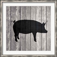 Framed Barn Pig