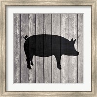 Framed 'Barn Pig' border=