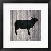 Framed 'Barn Sheep' border=