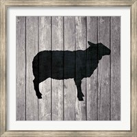 Framed Barn Sheep