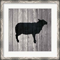 Framed Barn Sheep