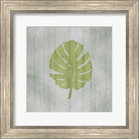 Framed Palm Leaf