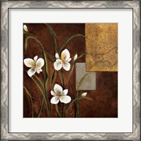 Framed 'Orchid Melody I' border=