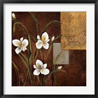 Orchid Melody I Framed Print