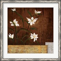 Framed Orchid Melody II