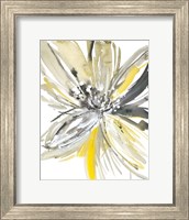 Framed Sunny Bloom