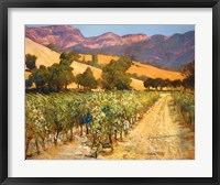 Framed Wine Country