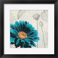 A Touch of Color II Framed Print