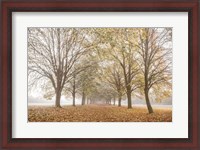 Framed Autumn's Peace