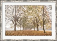 Framed Autumn's Peace