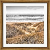 Framed Beach Dunes