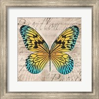 Framed 'Butterflies I' border=