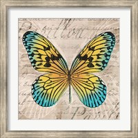 Framed Butterflies I