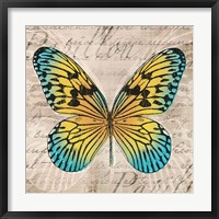Framed 'Butterflies I' border=
