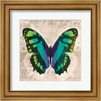 Framed Butterflies II