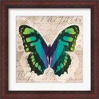 Framed 'Butterflies II' border=