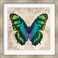 Framed Butterflies II