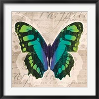 Butterflies II Framed Print