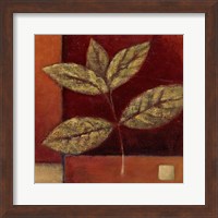 Framed Crimson Leaf Study II