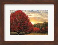 Framed Crimson Trees