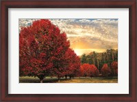 Framed Crimson Trees