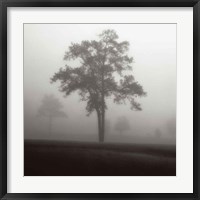 Framed Fog Tree Study I