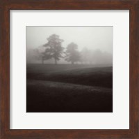 Framed Fog Tree Study II