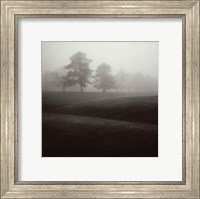 Framed Fog Tree Study II