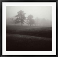 Framed Fog Tree Study II