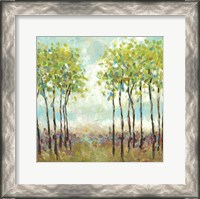 Framed Foxwood I