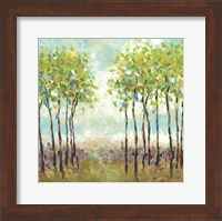 Framed Foxwood I