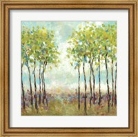 Framed Foxwood I