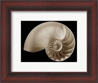 Framed Ocean Keepsake II