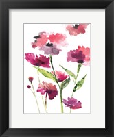 Framed Razzleberry Blossoms