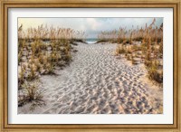 Framed Path To The Beach