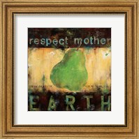 Framed Respect Mother Earth