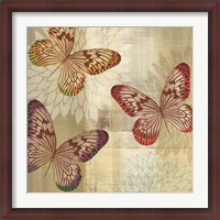 Framed Tropical Butterflies I