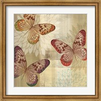 Framed 'Tropical Butterflies I' border=