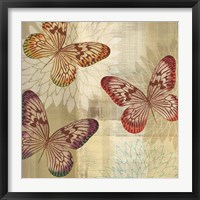 Framed 'Tropical Butterflies I' border=