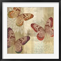 Framed Tropical Butterflies I