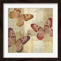 Framed Tropical Butterflies I