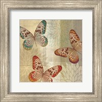 Framed Tropical Butterflies II