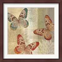 Framed Tropical Butterflies II