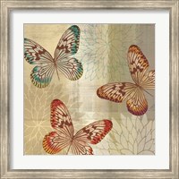 Framed Tropical Butterflies II