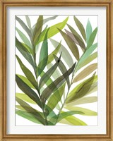 Framed Tropical Greens I